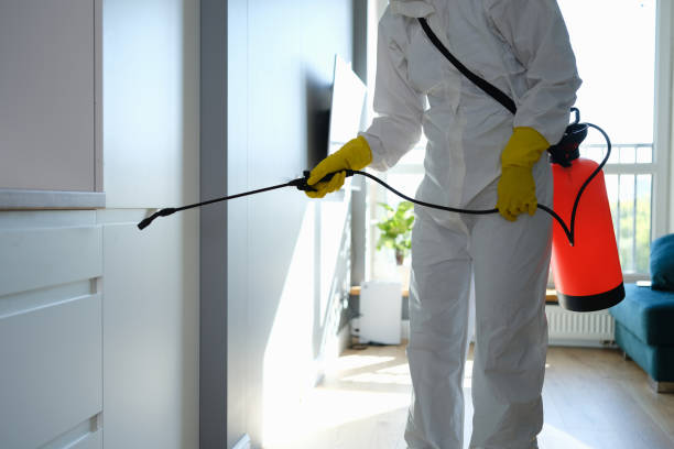 Water Damage Restoration in Trinidad, CO