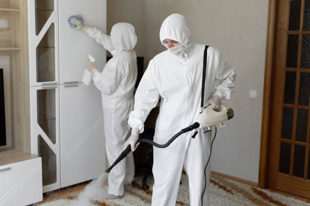 Professional Mold Removal in Trinidad, CO
