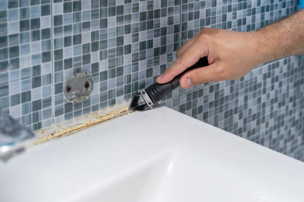 Certified Mold Removal in Trinidad, CO
